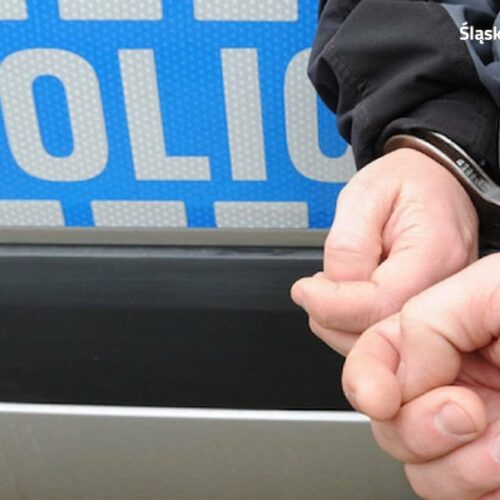 Kuźniańscy policjanci zatrzymali kierowcę pod wpływem narkotyków i z narkotykami